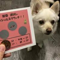 画像260