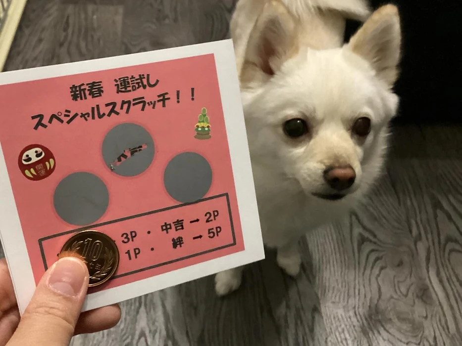 画像260